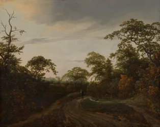 Weg in een boslandschap bij schemering